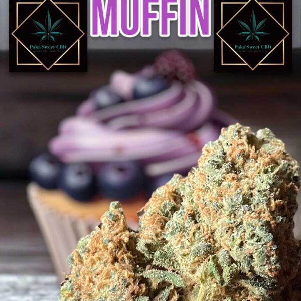 blueberry fleur cbd