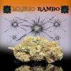 fleur cbd Mango Rambo