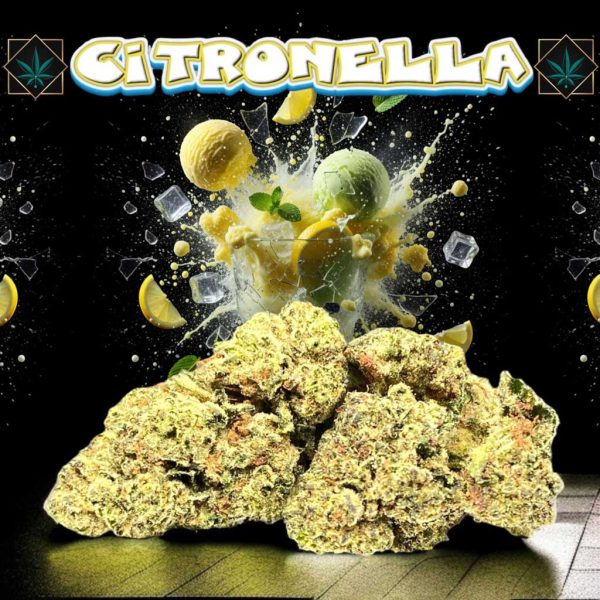 fleur indica citronella 12% Paka