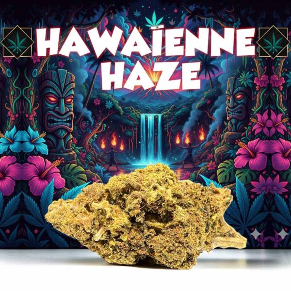 fleur hawaienne haze