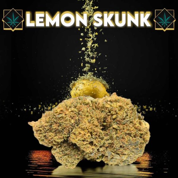 lemon skunk