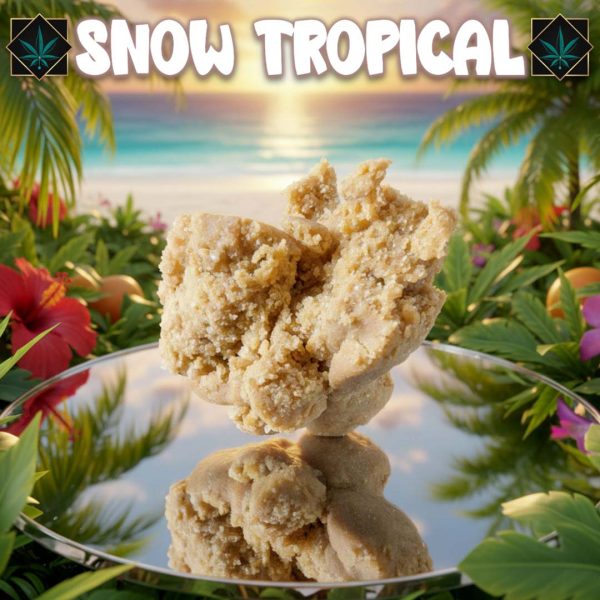 snow tropical piatella